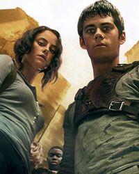 The Maze Runner